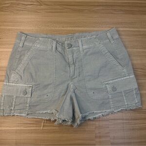 American Eagle Outfitters Light Gray Cargo Shorts